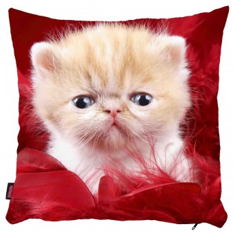 Kedili Yastık Kılıfı-20